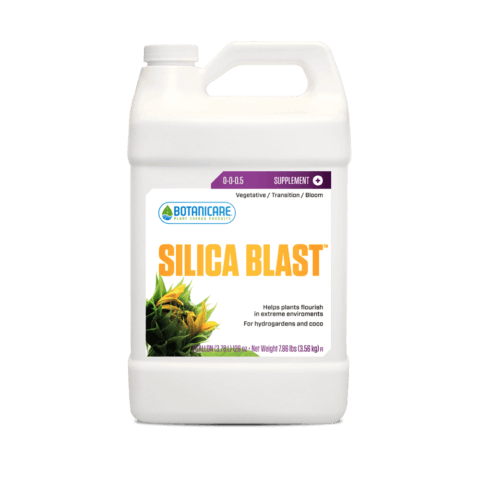 Silica Blast™