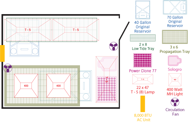 8×10 Grow Bloom Room