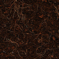 Perlite