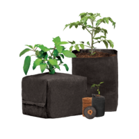 Utilizing Irrigation Strategies to Optimize Cannabis Yield in CocoPro® and Rockwool
