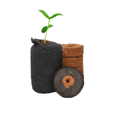 CocoPro™ Propagation Plugs