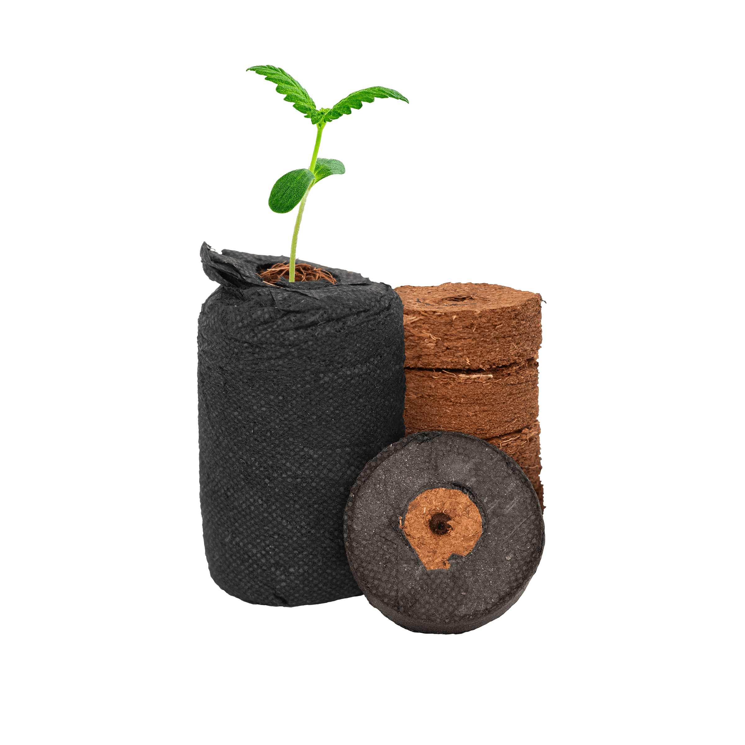 CocoPro™ Propagation Plugs