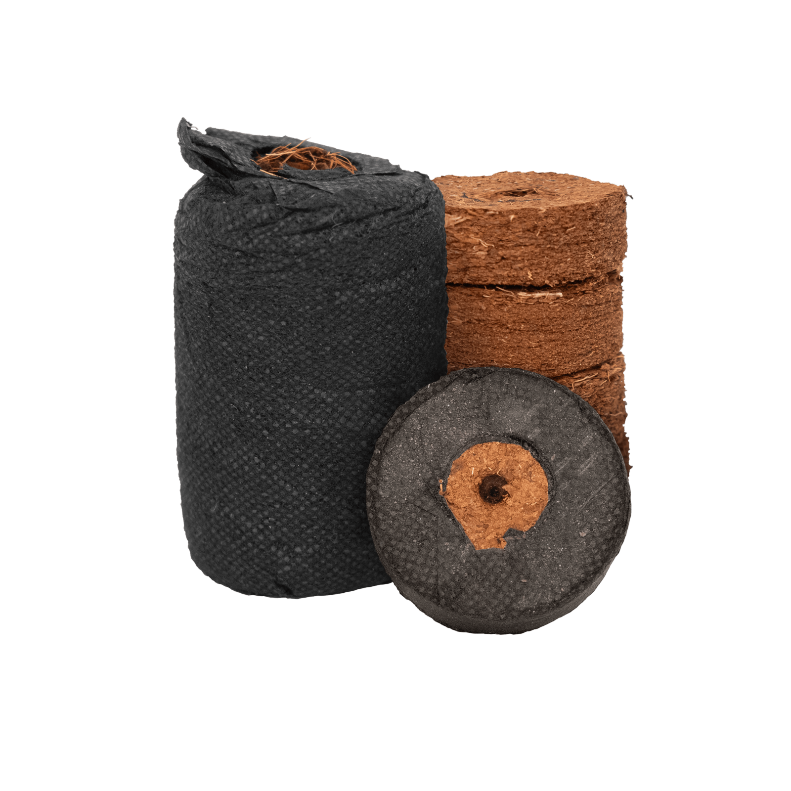 CocoProPlugs 2 231024