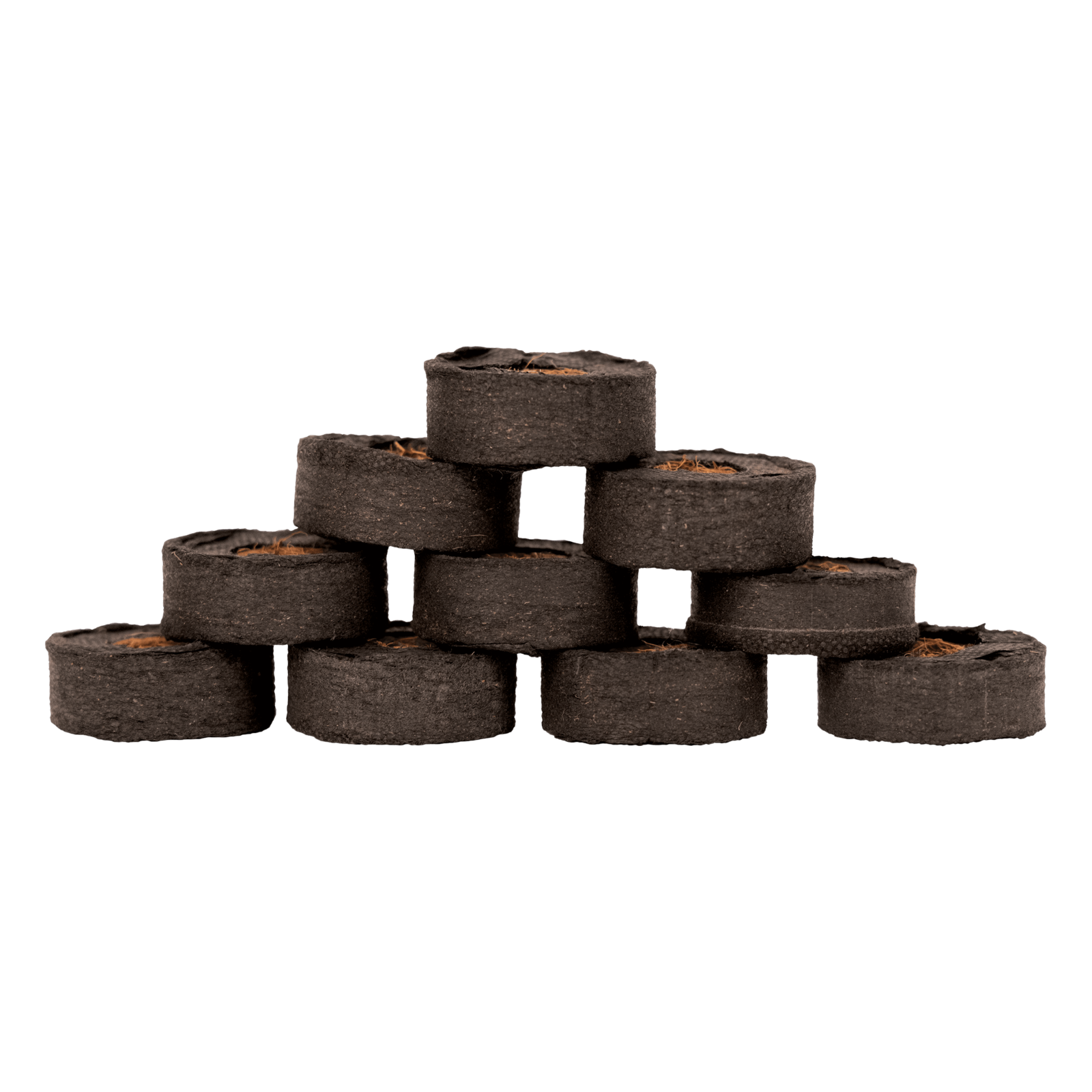 CocoProPlugs C6A9149 231024