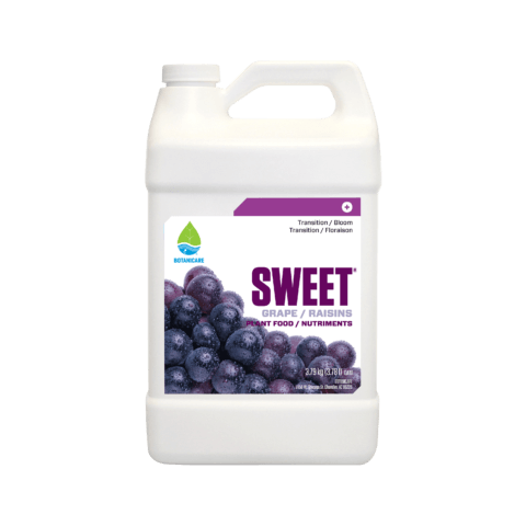 Sweet® Grape