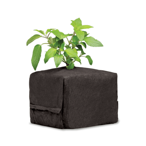 CocoPro™ Cube