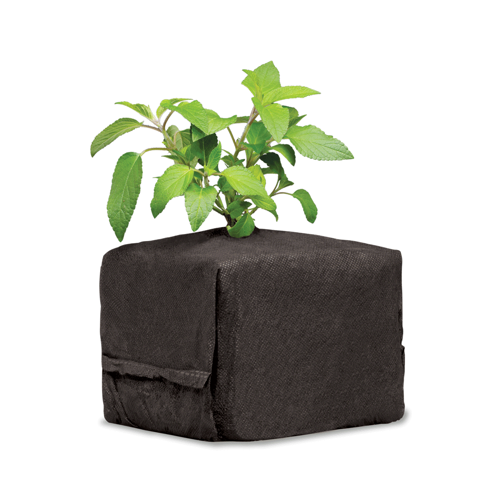 CocoPro™ Cube