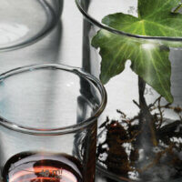 Mixing Nutrients – A Beginner’s Guide