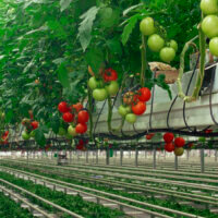 Temperature and Humidity