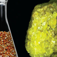 Organics and Minerals: Do you Really Understand What’s Going into your Garden?